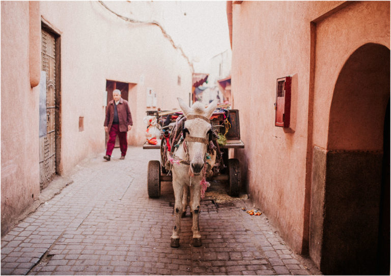 Marrakech – Kunterbuntes Treiben